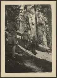 [Figure nel bosco]