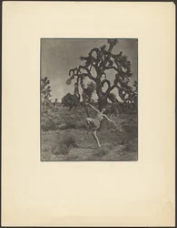 Ispirazione della danza