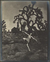 Ispirazione della danza
