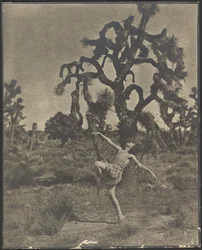 Ispirazione della danza