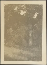 [Paesaggio]
