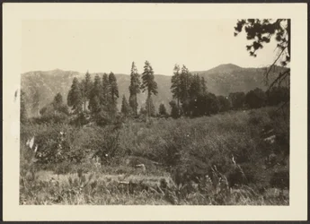 [Paesaggio]
