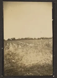 [Paesaggio]