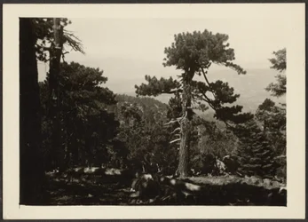 [Paesaggio]