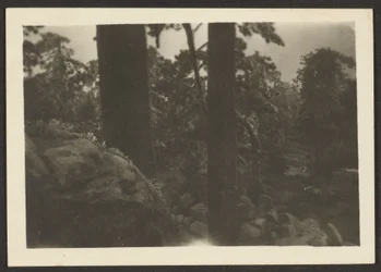 [Paesaggio]