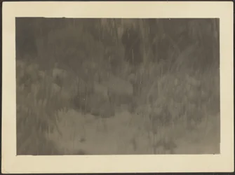 [Paesaggio]