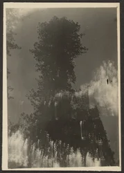 [Paesaggio]