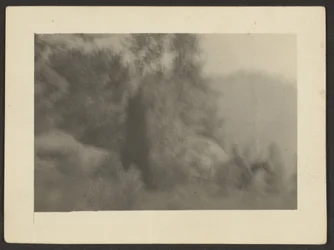 [Paesaggio]