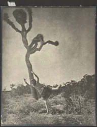 Leggero e aggraziato - Giosuè danzante