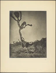 Joshua danzante, snello e aggraziato
