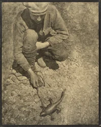 [Uomo con una lucertola]