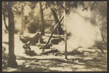 [Struttura di nativi americani e teepee nel bosco].