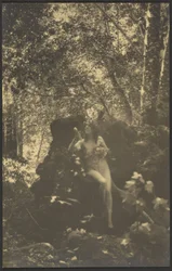 [Donna nuda nel bosco]