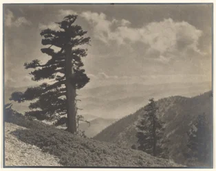 [Sulla cresta verso Old Baldy]