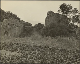 Rovine della Missione Purisima Concepcion