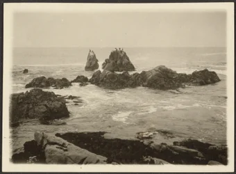 [Paesaggio marino]