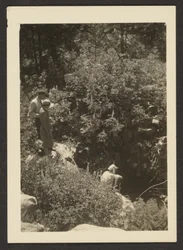 [Primavera a Fern Valley]