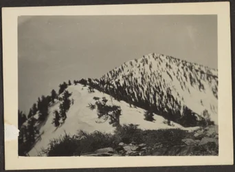 [Telescope Peak]