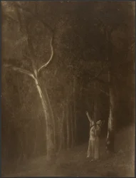 [Donna che prega tra gli alberi]
