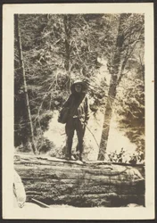 [Donna in piedi su albero caduto]
