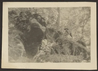 [Donna sulle rocce nel bosco]