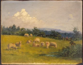 Paesaggio vicino a Swansea