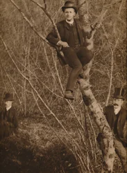 Uomo seduto su un albero
