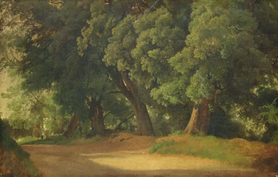 Querce in Holstein