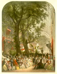Transetto del Crystal Palace, 1851