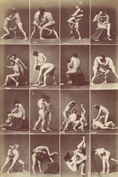 Album di studi-Poses