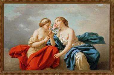 Il senso dell