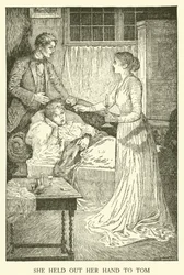 Illustrazione per Tom Brown