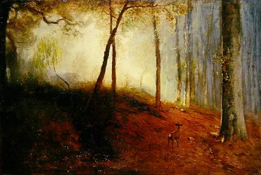 Cervi in un bosco