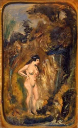 Nudo nella foresta