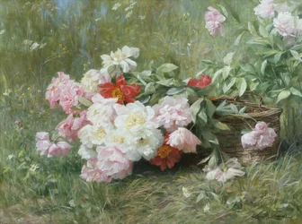 Fiori appena tagliati