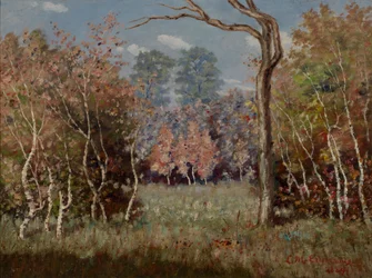 Paesaggio d