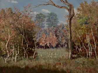 Paesaggio autunnale