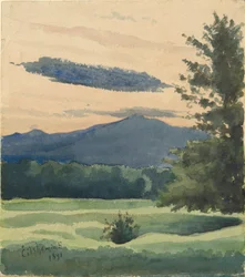 Prato verde