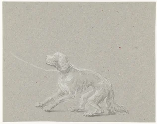Cane al guinzaglio