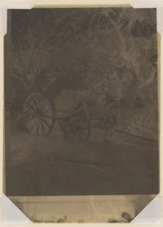 Carrello