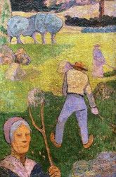 Fienagione