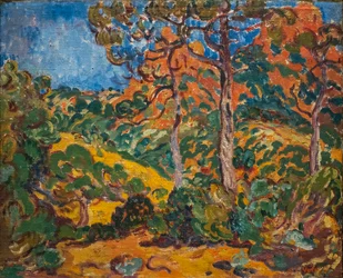 Luce del sole sotto gli alberi