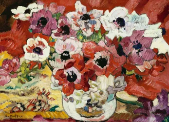 Vaso di anemoni