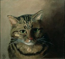 Studio di testa di un gatto soriano