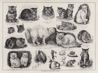 Mostra Felina al Crystal Palace (incisione)