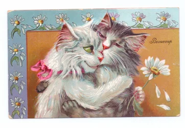 Cartolina edoardiana di due gatti che si abbracciano, c.1910
