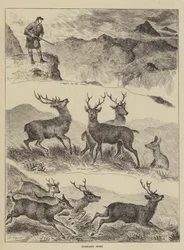 Sport nelle Highlands