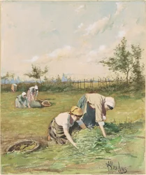 Spigolatrici nel Campo