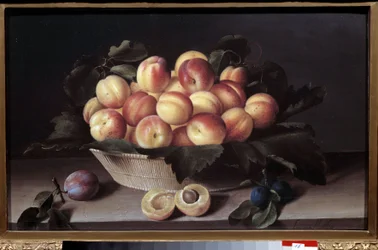 Natura morta con albicocche. Cesto di albicocche e prugne in primo piano. Dipinto di Louise Moillon