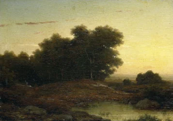 Vista nel bosco al tramonto